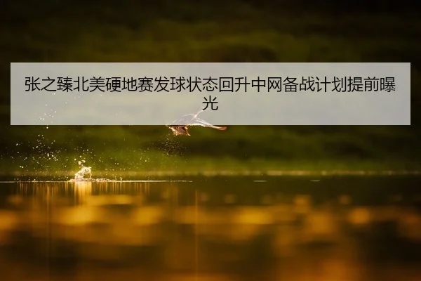 张之臻北美硬地赛发球状态回升中网备战计划提前曝光